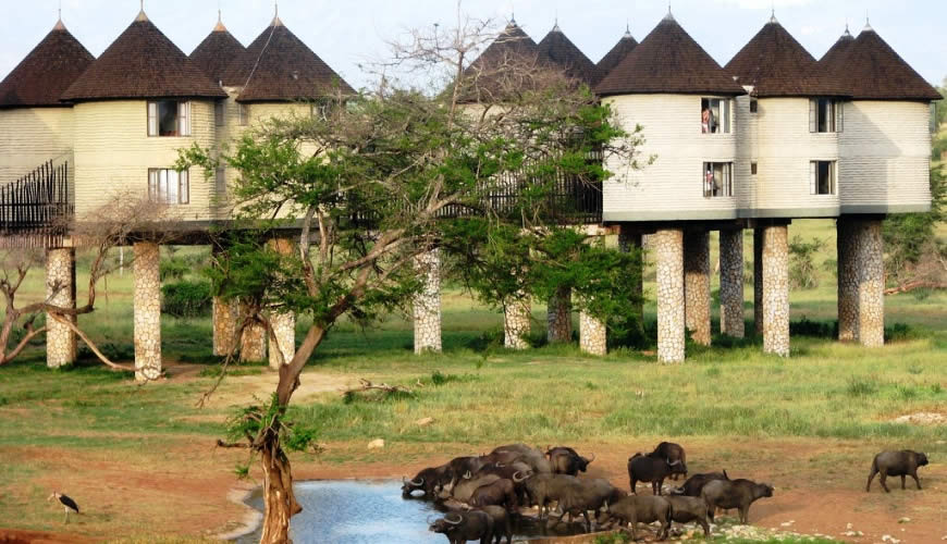 Tsavo Premium Lodges